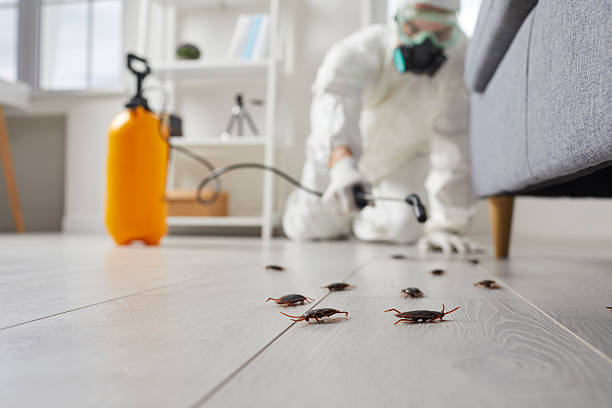 Commercial Kitchen Cockroach Control in Sugarcreek